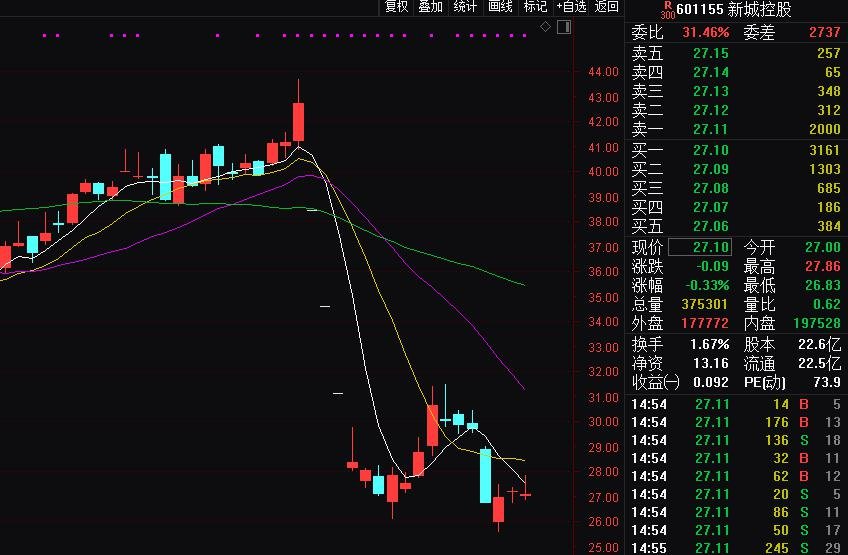 资金、业绩面临双重压力，道恩股份收购大股东资产解忧？