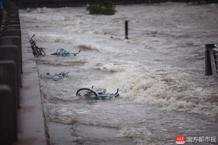 
          
            深圳出现海水倒灌 应急部门：由天文大潮和风暴增水叠加引起 预计未来一段时间不会出现
        